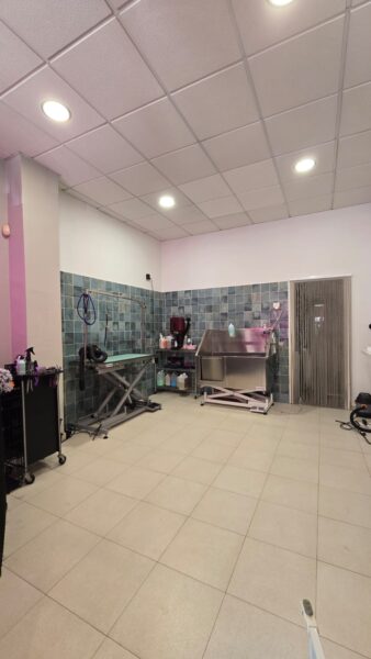 PELUQUERIA CANINA